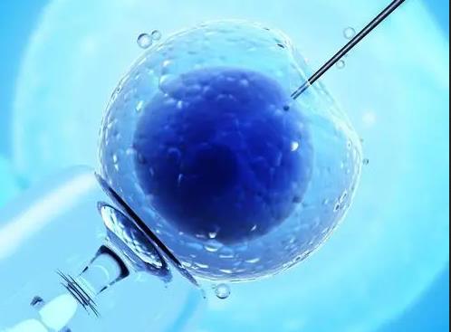 胚胎质量明明就很好，怎么老是移植失败？我该如何提高试管婴儿成功率?