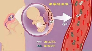 三代试管婴儿怀孕后要做羊水穿刺吗？ “三代试管婴儿”怀孕后的“羊水穿刺”