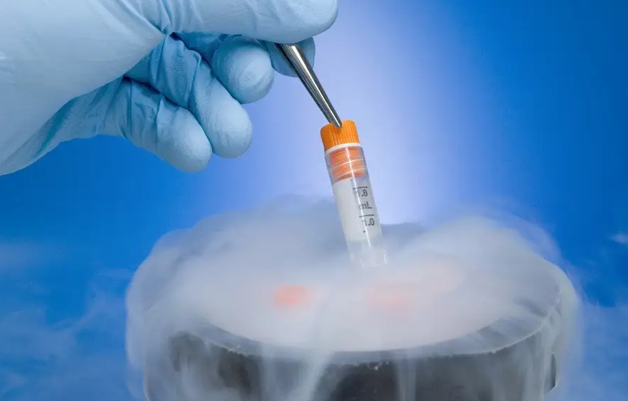 哪种情况下需要冷冻胚胎？试管婴儿冷冻胚胎的好处有哪些？试管婴儿冷冻胚胎对胚胎有危害吗?