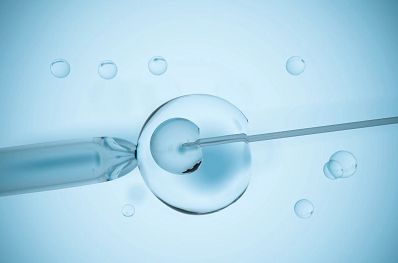 试管婴儿取卵多可移植胚胎数少？试管婴儿卵泡和试管婴儿成功率的关系