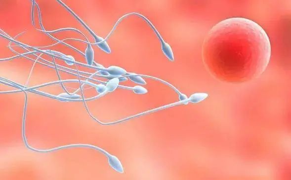 男性精子不液化的原因是什么？男性精子不液化会不会影响试管婴儿？