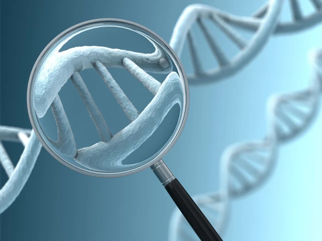 适用于单基因疾病的胚胎植入前遗传学检测 (PGT-M/A)