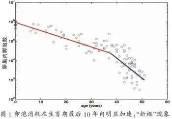 卵巢储备功能减退有没有最好的助孕方案？卵巢储备衰退可以做试管婴儿吗