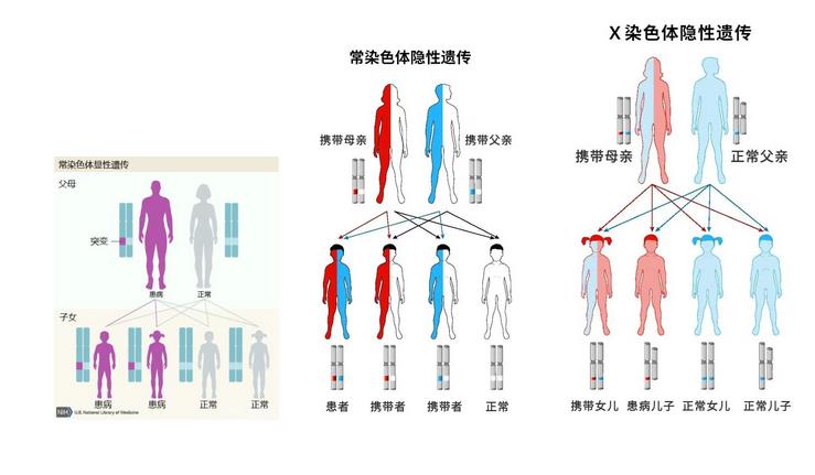 ​父母都健康，为什么孩子会患“无中生有”的遗传病？第三代试管婴儿技术助您解决各类遗传性疾病