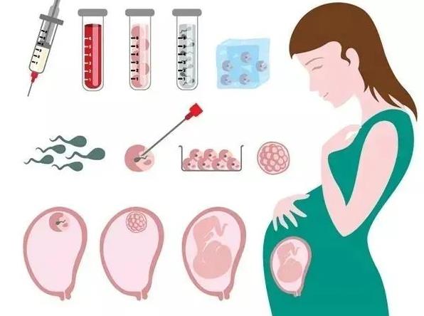 胚胎脆弱VS染色体异常，高龄备孕女性要不要做PGT?