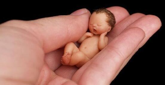 试管婴儿鲜胚移植着床需要多久？试管婴儿鲜胚移植成功后的症状是什么？怎么判定试管婴儿移植是否成功？