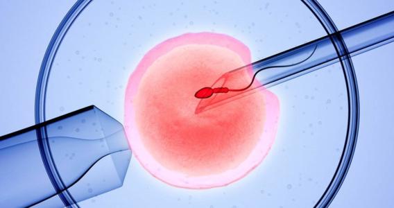 试管婴儿胚胎移植后几天着床？试管婴儿胚胎移植后出血是没怀上吗？试管婴儿胚胎移植后吃什么？