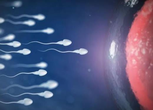 患有无精子症还有机会做爸爸吗？无精子症是怎么造成的？无精子症能做试管婴儿吗？