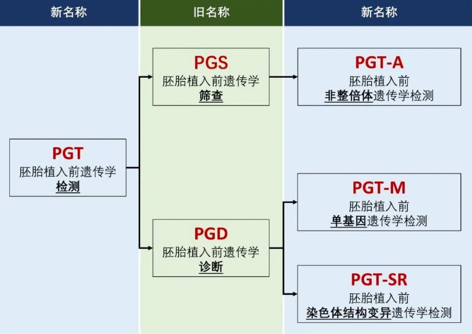 家系验证和单体型构建是单基因遗传病，第三代试管婴儿助孕的基础！