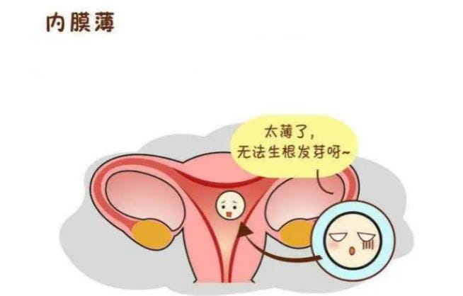 子宫内膜为什么会变薄？子宫内膜薄有什么影响？做试管婴儿但子宫内膜太薄怎么办？