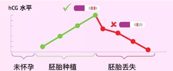 为什么做试管也会出现生化妊娠？为什么试管婴儿也会生化妊娠？如何避免生化妊娠？