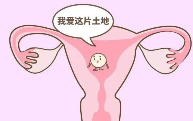 “保胎界的新宠”——低分子肝素！
