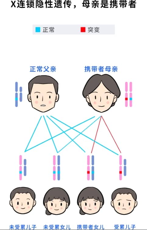 不是空穴来风！生育前必须要了解这项检查！