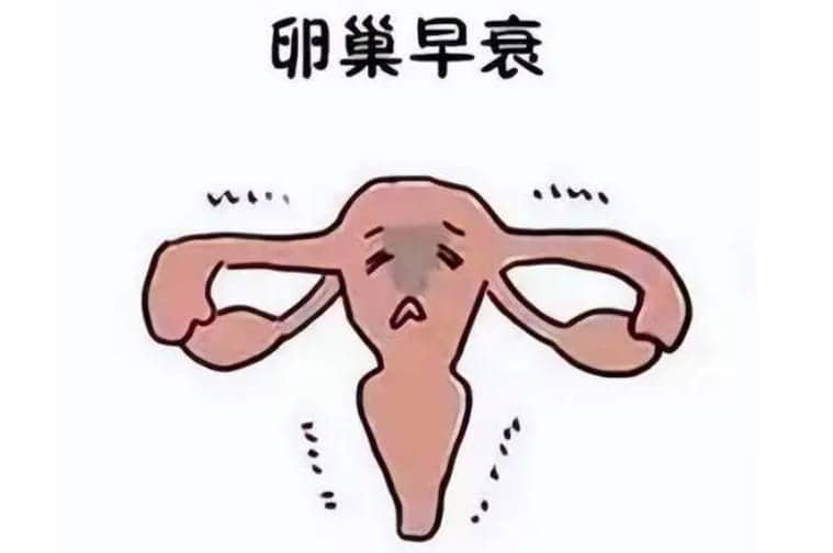 健康的性生活能否调理和延缓卵巢早衰？卵巢保养的几个好方法？