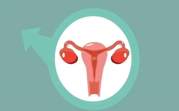 什么原因导致女性出现了停经的现象？导致女性停经的原因有哪些？女性停经后还能做试管婴儿吗？