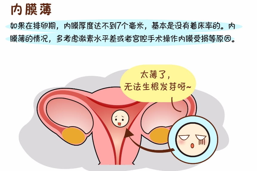 备孕时子宫内膜的最佳厚度？备孕检查发现子宫内膜偏薄的调理方法