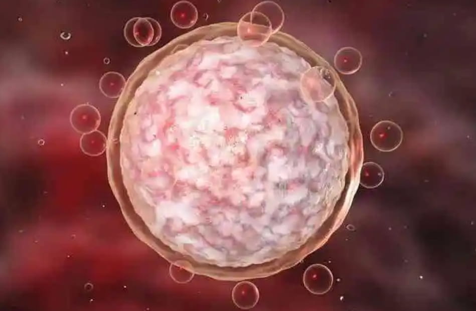 4aa囊胚相当于几级胚胎？试管婴儿成功率高低与哪些因素有关？囊胚好相当于试管成功率高吗?