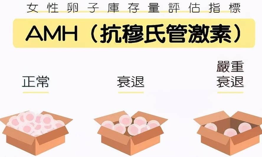 5岁AMH值低到0.6有可能回升吗？AMH值能不能回升？AMH检查热点问题？"