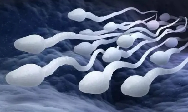 男性精子不行能做试管婴儿吗？吃哪种善存能提高男性精子活力？