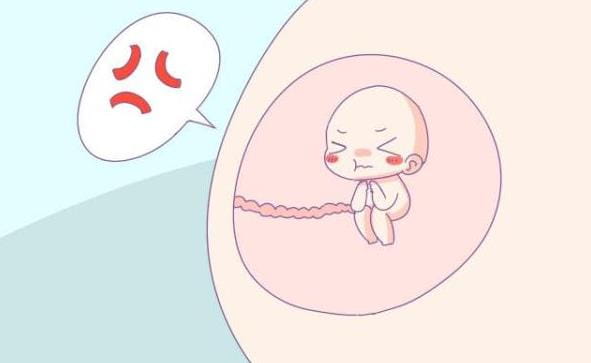 我们该如何确定胚胎停止发育了？试管婴儿胚胎停育的原因有哪些？美国试管婴儿如何有效规避胎停？