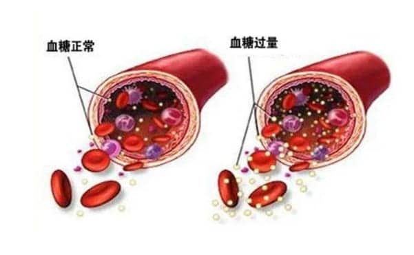 细数肥胖7宗罪，这些影响50%的备孕姐妹都不知道！