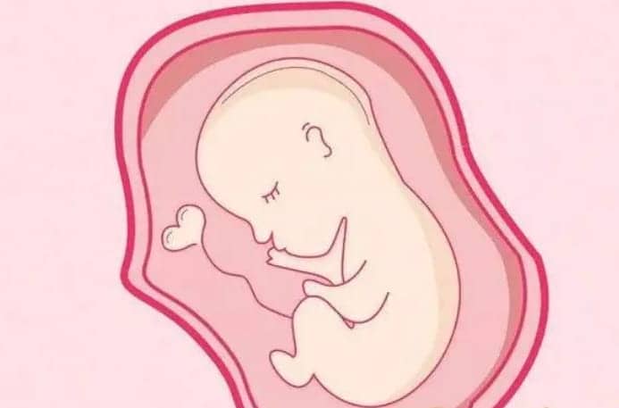 造成子宫壁薄的原因是什么？试管婴儿移植前如何调理好内膜？调理子宫内膜那种方式有效？