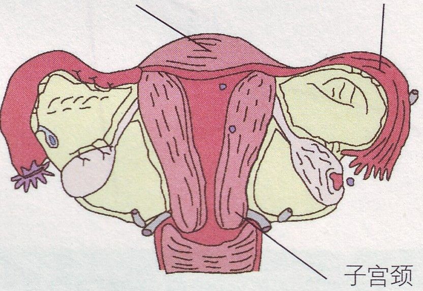 输卵管堵塞在早期有哪些症状？哪些因素容易导致输卵管堵塞？哪家医院做输卵管堵塞疏通手术比较好？