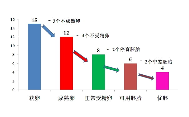 试管人群必看：为什么卵泡数≠取卵数≠胚胎数？