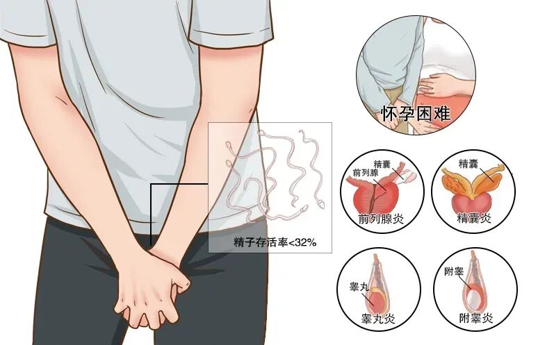弱精症会影响怀孕吗？弱精症如何影响受孕成功率？弱精症的治疗方案有哪些？