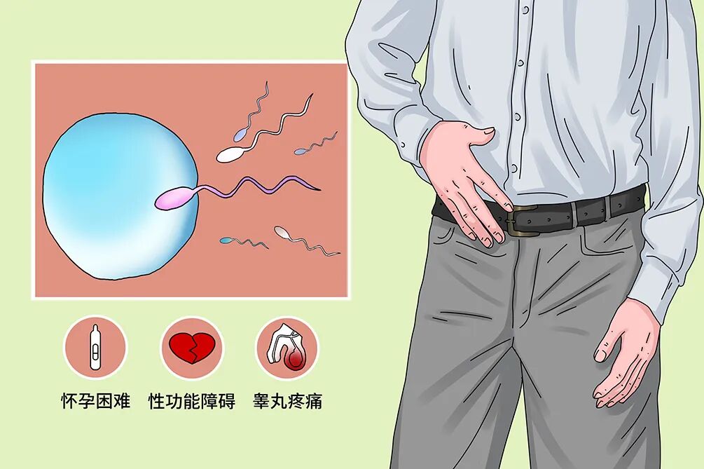 弱精症会影响怀孕吗？弱精症如何影响受孕成功率？弱精症的治疗方案有哪些？