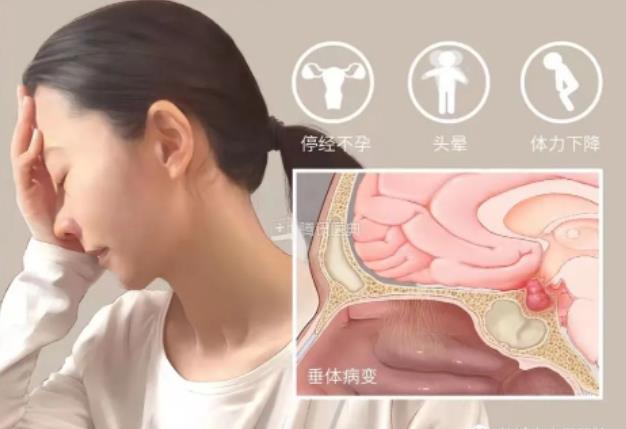 生殖中心都能做什么？去生殖医学科只能做试管婴儿吗？