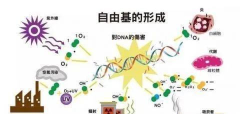 试管婴儿如何养出优质卵子？如何改善卵子质量？40岁高龄试管助孕该如何养出好卵子？