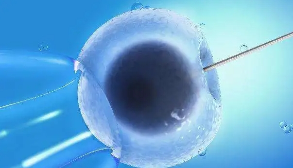 什么是嵌合体胚胎？三代试管婴儿容易出现胚胎嵌合体吗？如何降低三代试管胚胎的嵌合体风险？