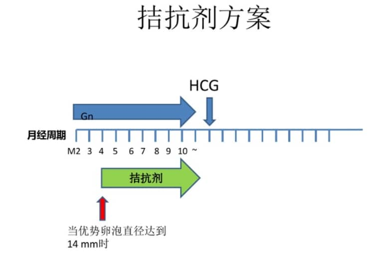 8岁以上的女性试管，做好这四点可快速抱娃！"