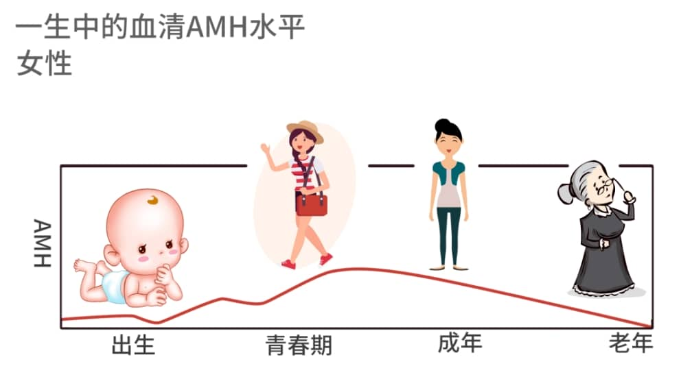 AMH参考值是多少？AMH值过低怎么办？AMH值在这个范围最容易怀孕！