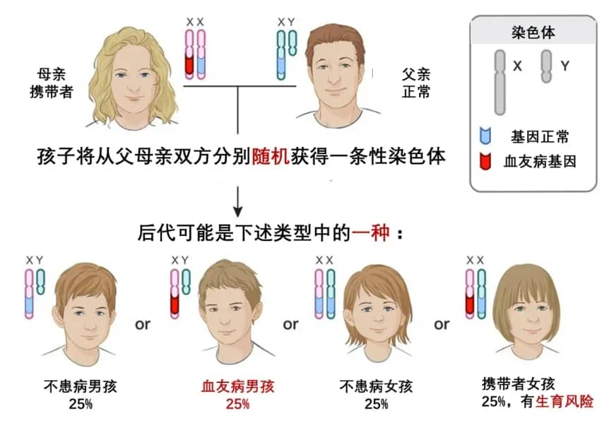 什么是血友病？血友病患者可选择三代试管婴儿技术助孕生育健康宝宝