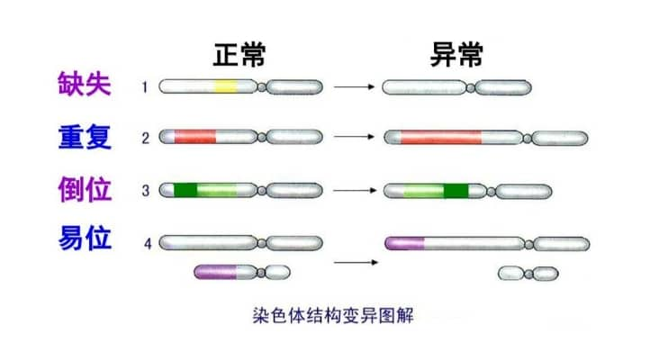 三代试管婴儿筛查技术可助力染色体异常人群生育健康宝宝