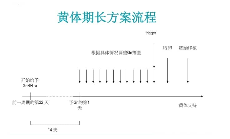 试管婴儿促排卵方案有哪些？如何选择合适的试管婴儿促排卵方案？临床常用的试管婴儿促排卵方案及适用人群概述