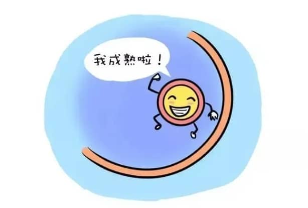 夜针在试管婴儿过程中的主要作用是什么？试管婴儿中打夜针是什么针？