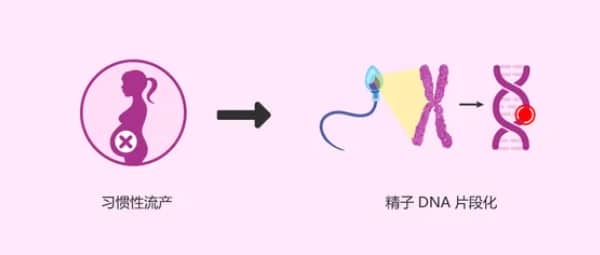 子宫内膜异位症如何影响试管婴儿的成功率？试管婴儿治疗中子宫内膜异位症患者面临哪些挑战？