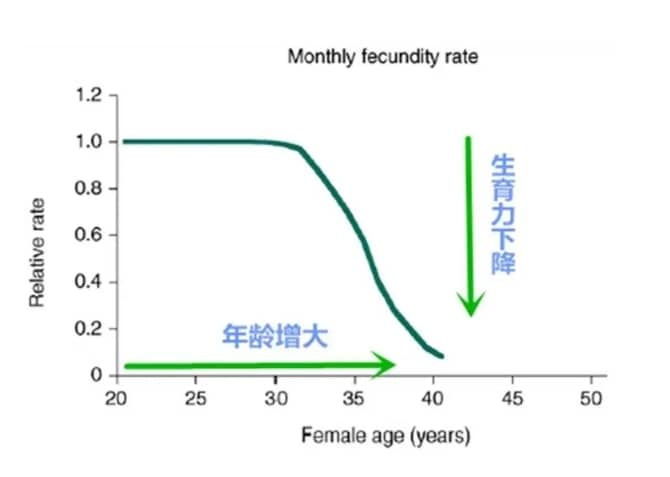 什么是不孕不育？不孕不育的现实原因有哪些？为什么身边患有不孕不育的人越来越多？