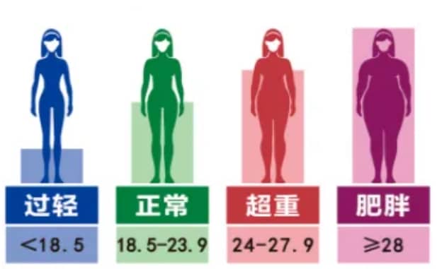 怎么知道自己是否肥胖？肥胖对生育有何影响？肥胖会影响试管婴儿的成功率吗？