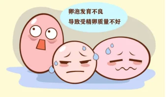 做试管婴儿什么样的卵泡才能被取？试管婴儿中B超显示的多卵泡数量与实际取到的卵子数量为什么不一致？
