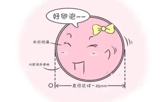 如何改善卵泡发育不良以提高试管婴儿成功率？试管婴儿中卵泡发育不良的治疗方法