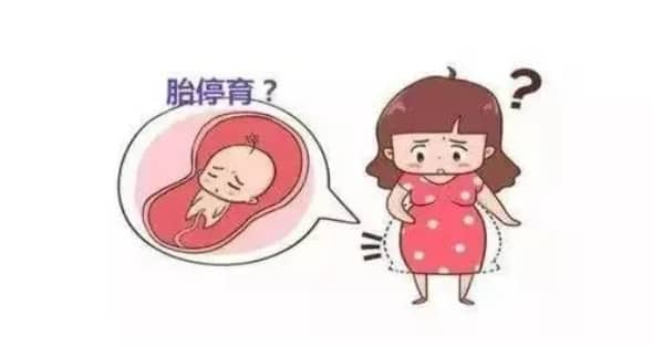 什么是胰岛素抵抗？为什么会出现胰岛素抵抗？胰岛素抵抗如何影响试管婴儿的成功率？