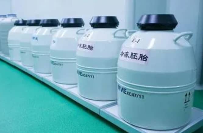 做试管婴儿先移植还是攒胚胎？做试管婴儿如何提高移植成功率？