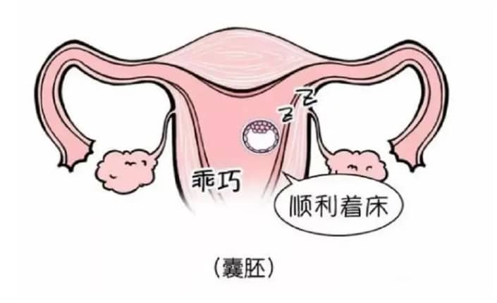 试管婴儿胚胎移植后有少量出血是怎么回事？试管婴儿过程中出血的原因有哪些？