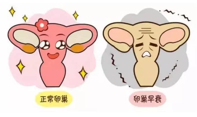 抽脂手术导致25岁女孩永久丧失生育力，过度减肥会危及生育力，减肥需谨慎！