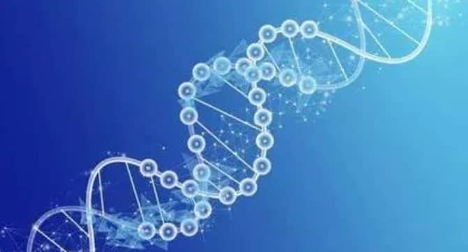 试管婴儿能否帮助少精症患者实现生育梦想？少精症患者试管婴儿技术成功率如何？少精症患者该如何治疗？