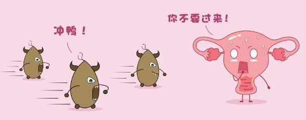 孕妈为什么易得阴道炎？试管怀孕时阴道炎来骚扰怎么办？孕期常见阴道炎及治疗方法